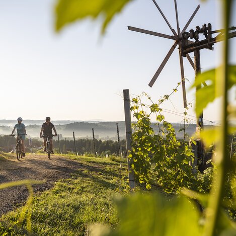 Radtour am Hochgrail mit wunderbarer Panoramaaussicht | © TV Südsteiermark | Velontour