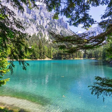 Ein See inmitten einer Bergkulisse umringt von Wald und Wiese.