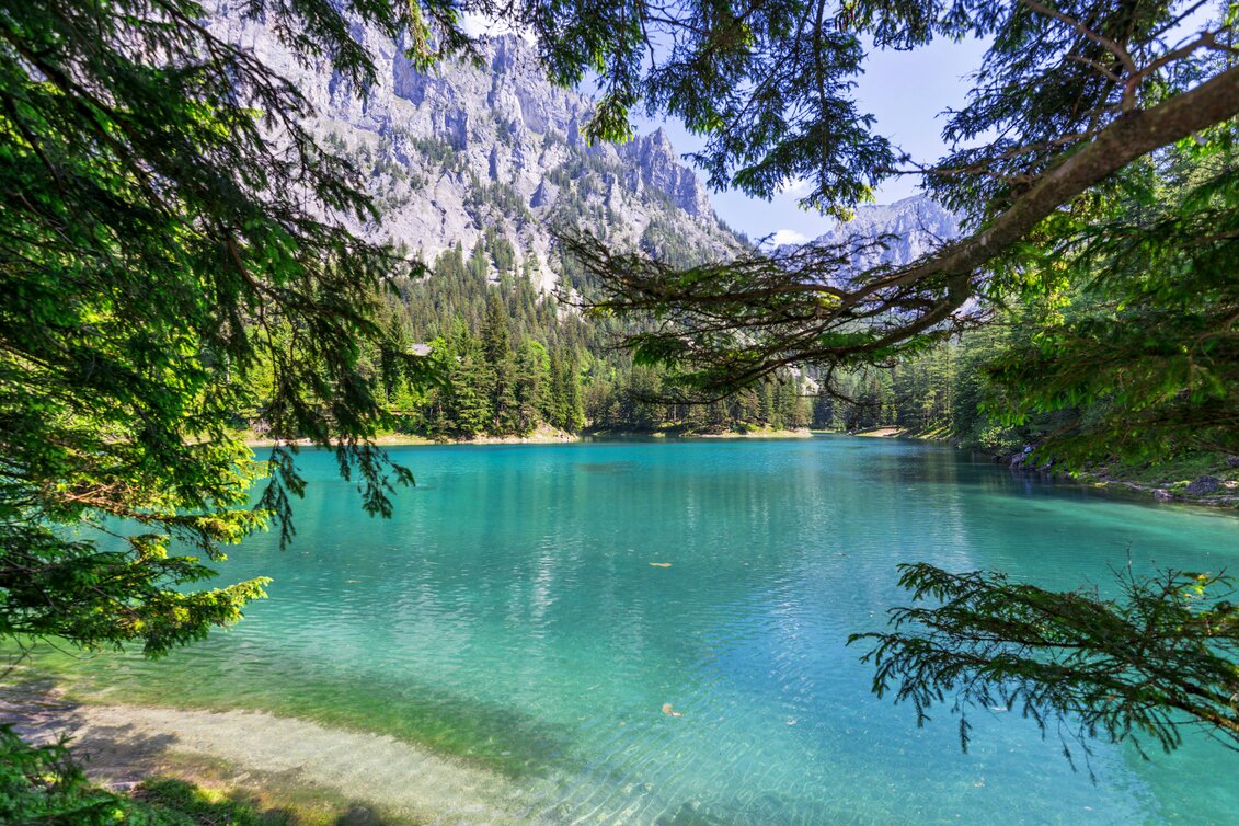 Der Grüne See in der Steiermark | © STG | Michael Weberberger