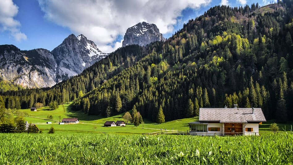 Hütten in der Eisenerzer Ramsau die unter einer atemberaubenden Bergkulisse und Wäldern im Sommer stehen | © Megi Angerer