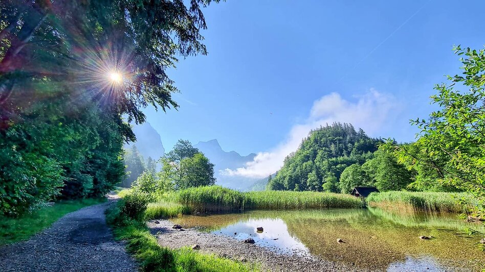 Leopoldsteinersee mit Sträuchern und einem Schotterweg mit Bäumen daneben. | © Megi Angerer