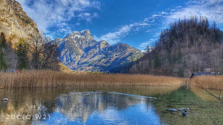 Leopoldsteinersees Flussufer im Frühjahr mit Sträuchern und dahinter Berge mit Wäldern | © @pinkusfloyd
