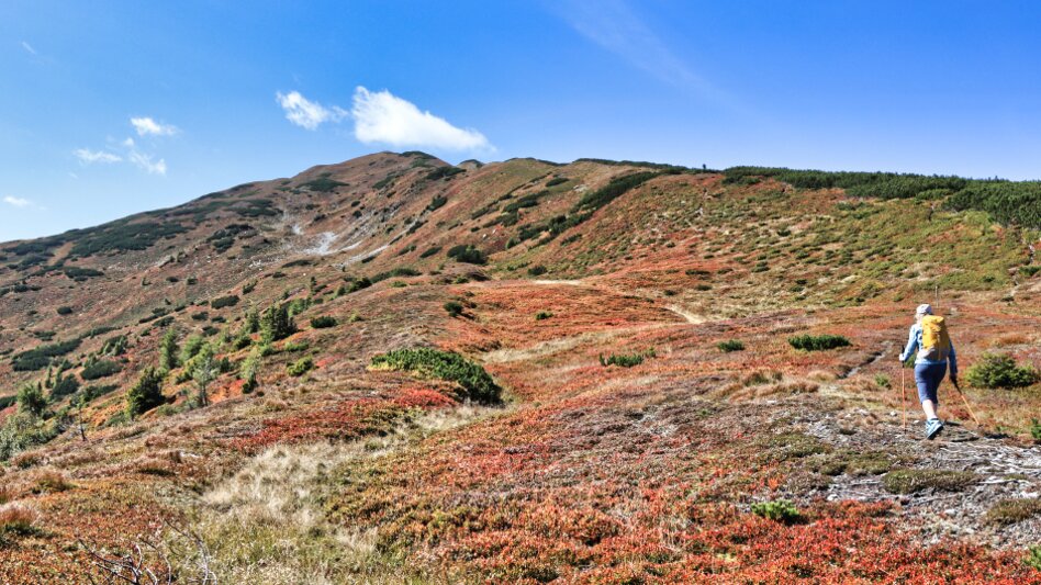 Frau wandert auf Wanderweg zwischen Sträuchern den Berg hinauf | © WEGES OG