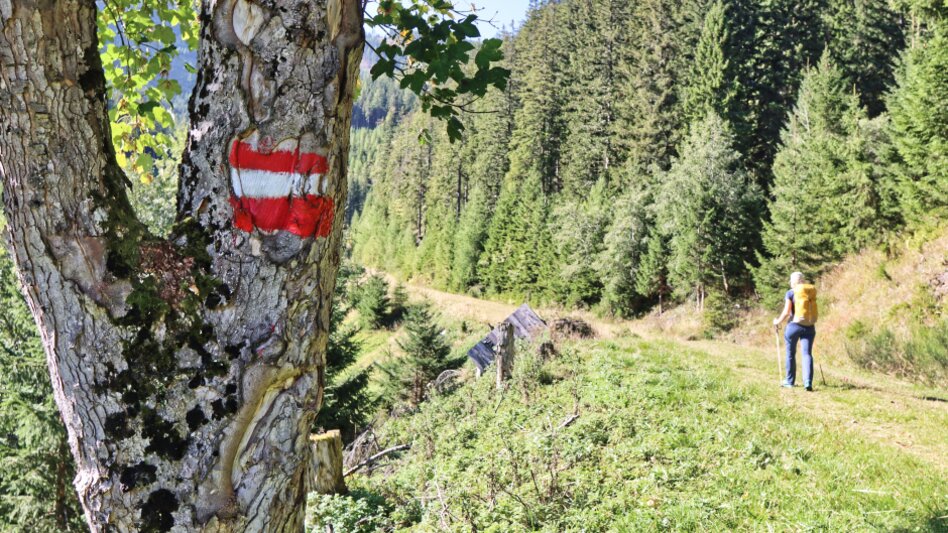 Im Vordergrund ein Stamm mit der Österreich Flagge und im Hintergrund eine Frau die den Weg hinauf wandert | © WEGES OG