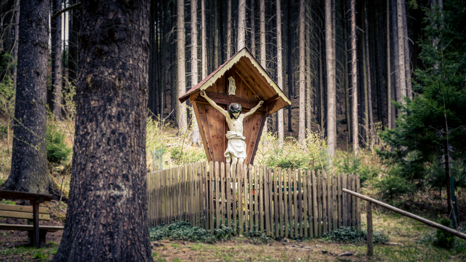 Das Kreuz mitten im Wald umgeben von Holzbank und Bäumen