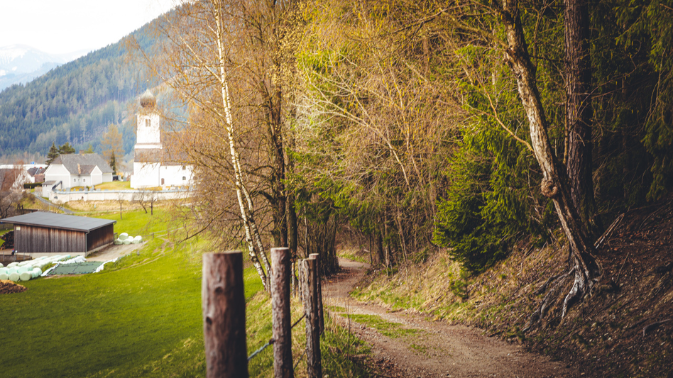 Weg im Wald in Traboch mit Bäumen und Wiesenflächen