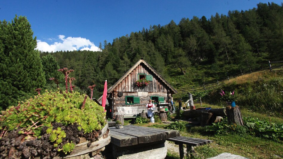 Hütte mit Garten und Sitzbank mitten im Wald