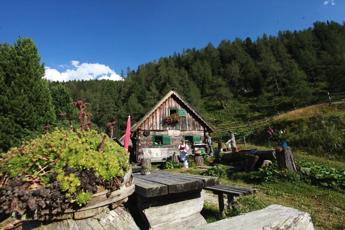 Hütte mit Garten und Sitzbank mitten im Wald