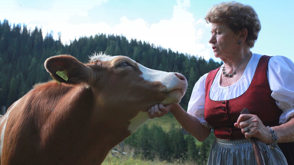 Eine ältere Dame streichelt eine Kuh