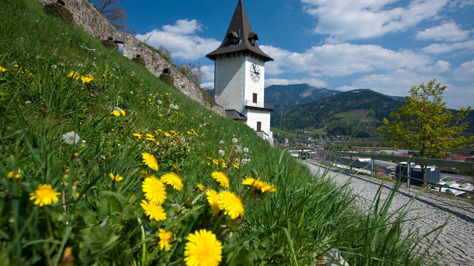 Eine Uhrturm, eine Löwenzahnwiese