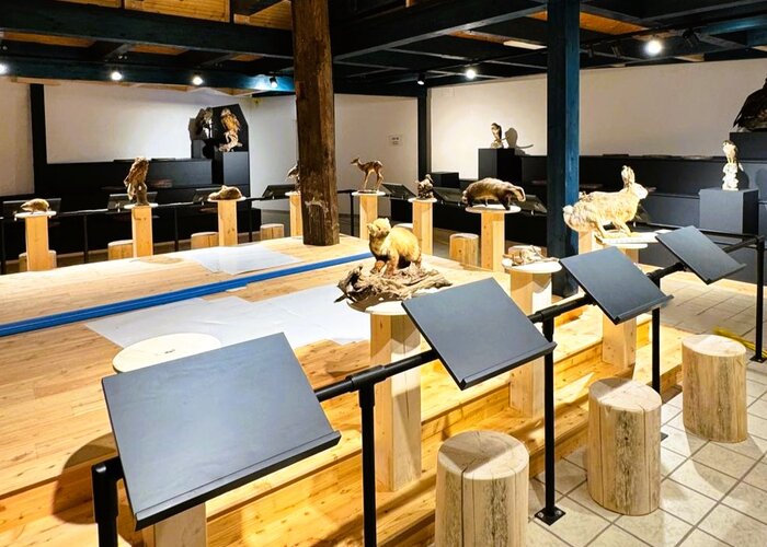 Ausstellung NaturErlebnisMuseum - nature4future | © Naturpark Mürzer Oberland | Naturpark Mürzer Oberland