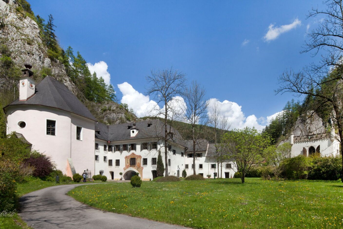 Ein alte Schlossanlage umgeben von einer Felswand mit Bäumen und grüner Wiese