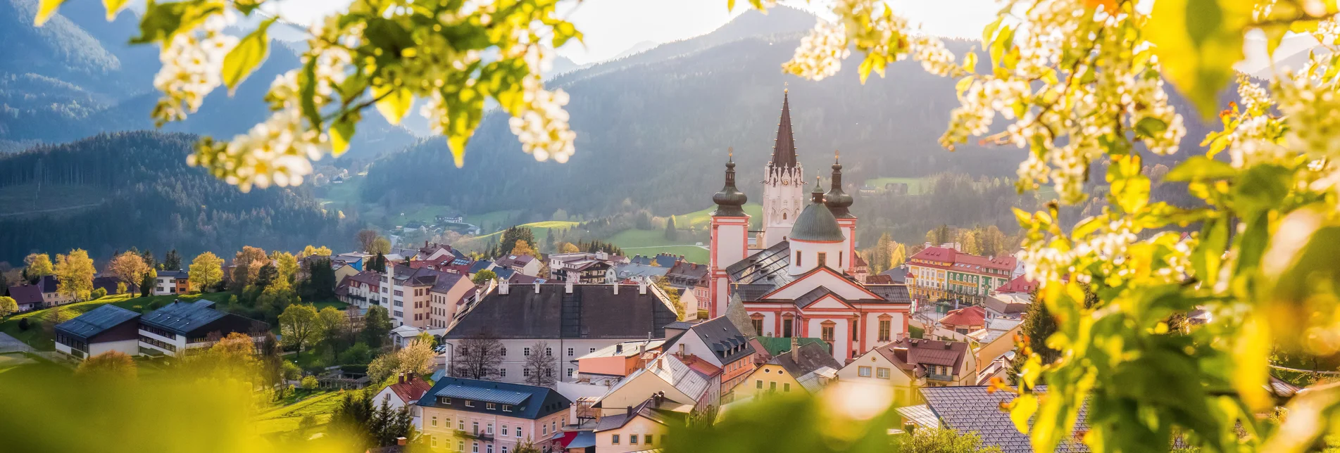 © TV Hochsteiermark | Fred Lindmoser