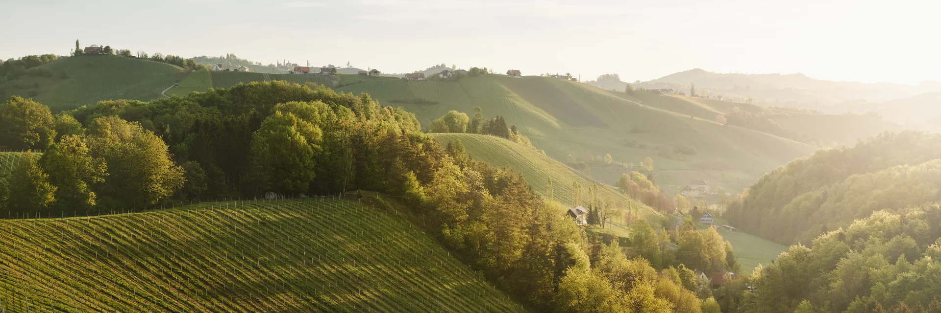 Landschaft | © KOENIGSHOFER MICHAEL | MICHAEL_KOENIGSHOFER Landschaft | © KOENIGSHOFER MICHAEL | MICHAEL_KOENIGSHOFER