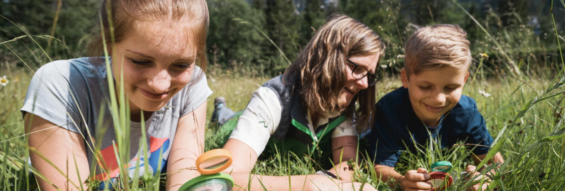 Kinder spielen in der Wiese des Nationalparks Gesäuse | © Stefan Leitner