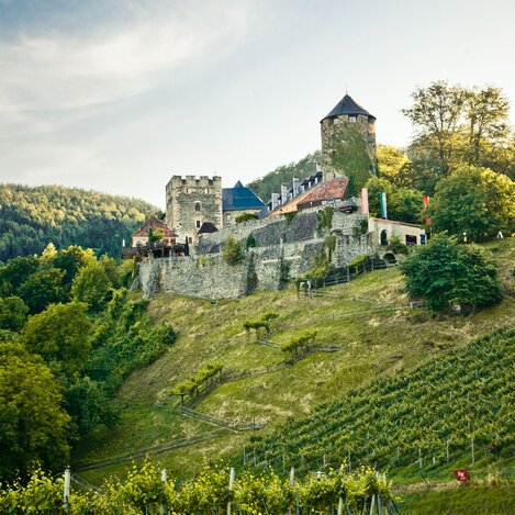 Burg Deutschlandsberg im Sommer | © Schilcherland Steiermark | Lupi Spuma | © Schilcherland Steiermark