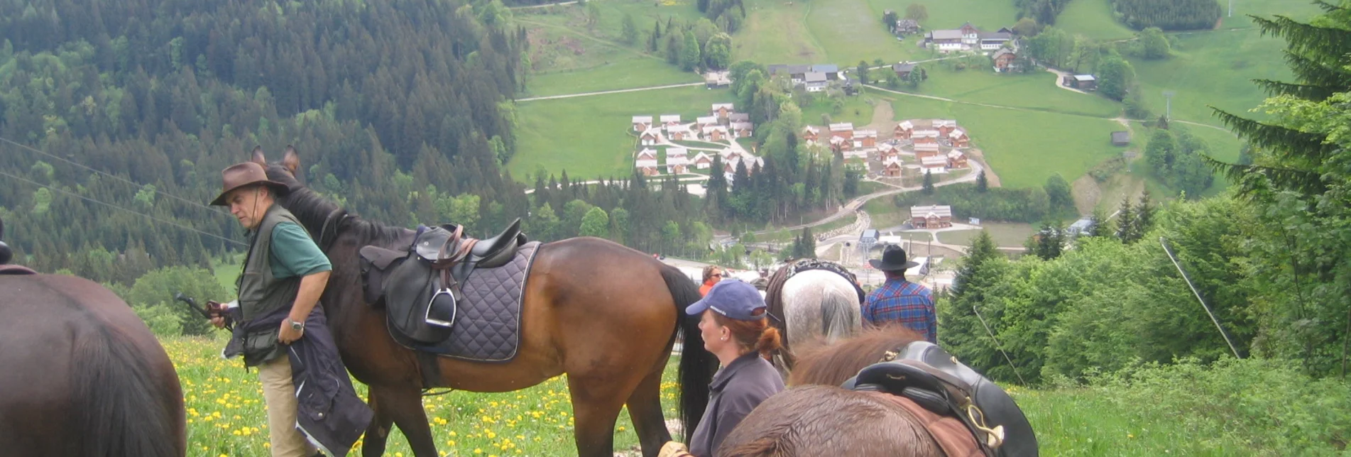 Reiten Reitweg von St. Agatha nach Altaussee - Touren-Impression #1 | © Reitgemeinschaft Ausseerland