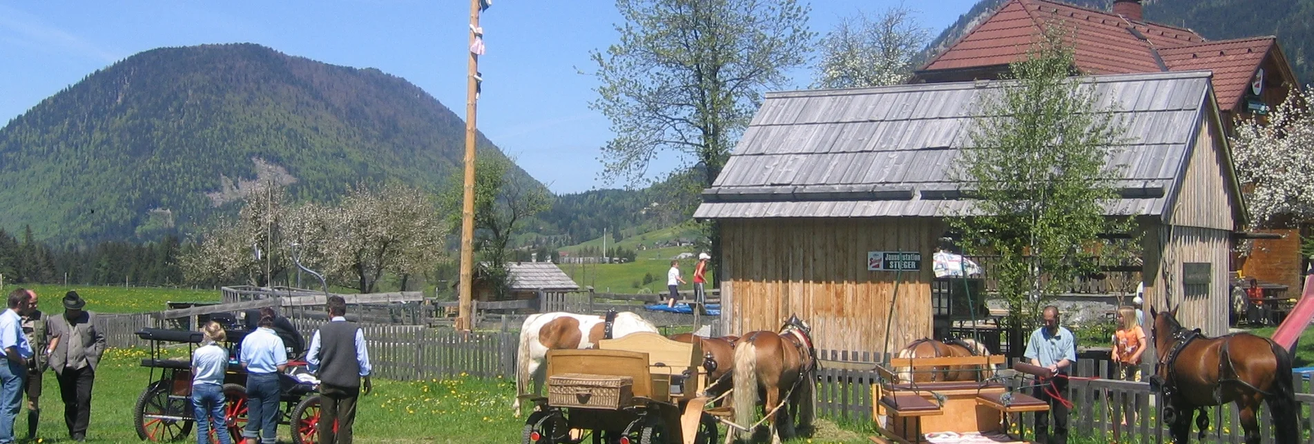 Reiten Reitweg Knoppenmoos - Touren-Impression #1 | © Reitgemeinschaft Ausseerland