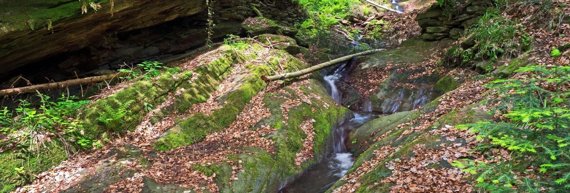 Hiking route Hinterbrühlweg, Stubenberg - Touren-Impression #1 | © Oststeiermark Tourismus