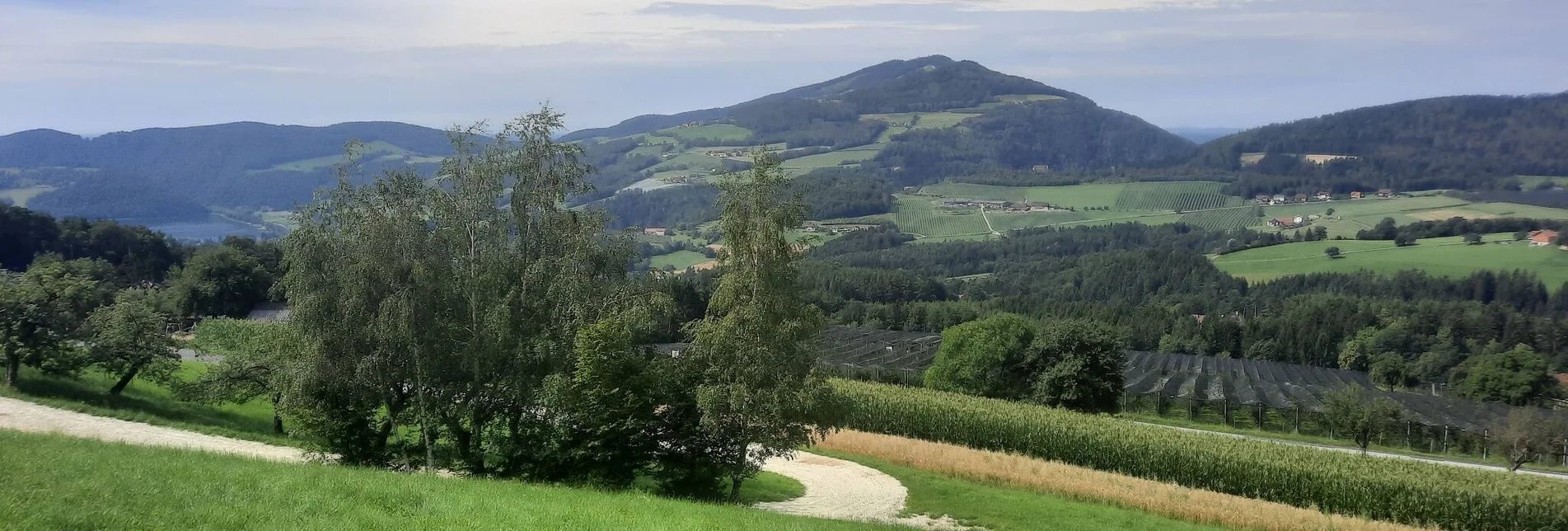 Hiking route Buchkogel high trail, Stubenberg - Touren-Impression #1 | © Oststeiermark Tourismus