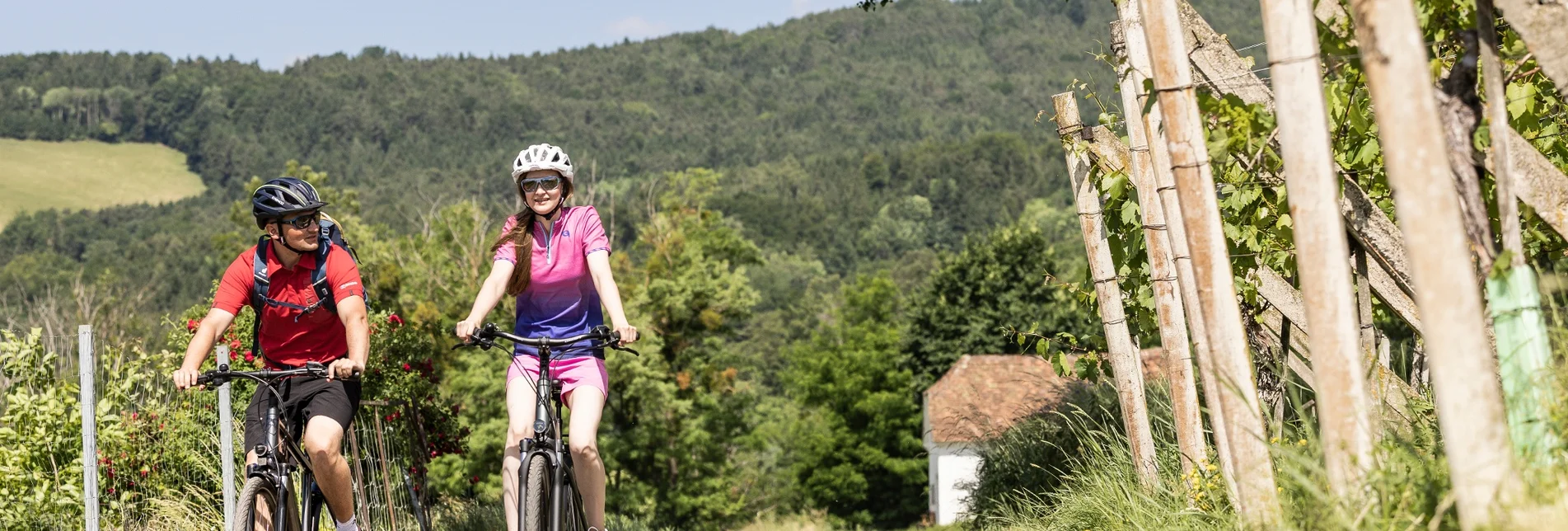 Bike Riding VeloVital Schmankerltour, Hartberg - Touren-Impression #1 | © Oststeiermark Tourismus