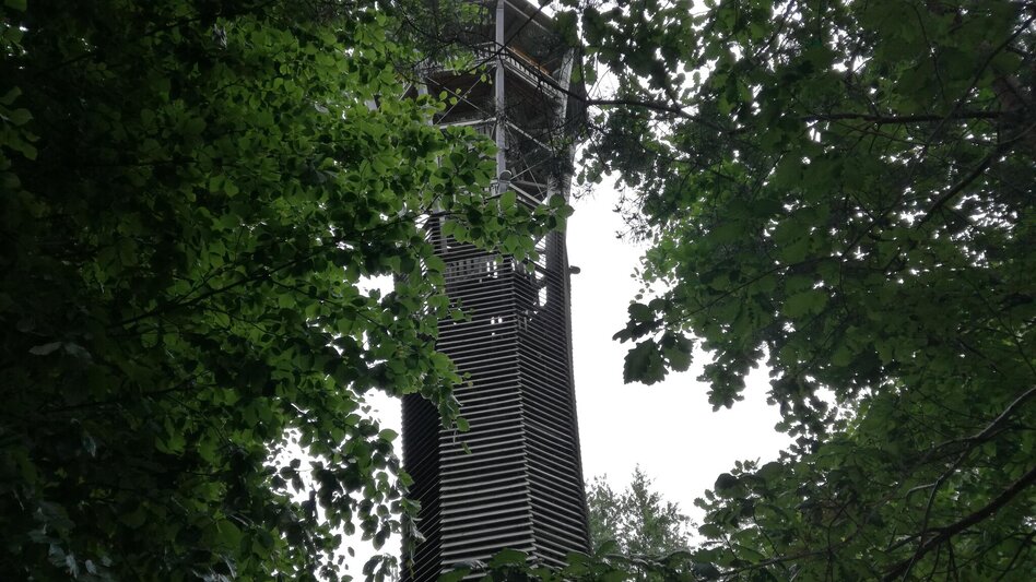 Cycling Wine and Water Tour (Wein- und Wasser-Tour) - Touren-Impression #2.4 | © TVB Thermen- & Vulkanland
