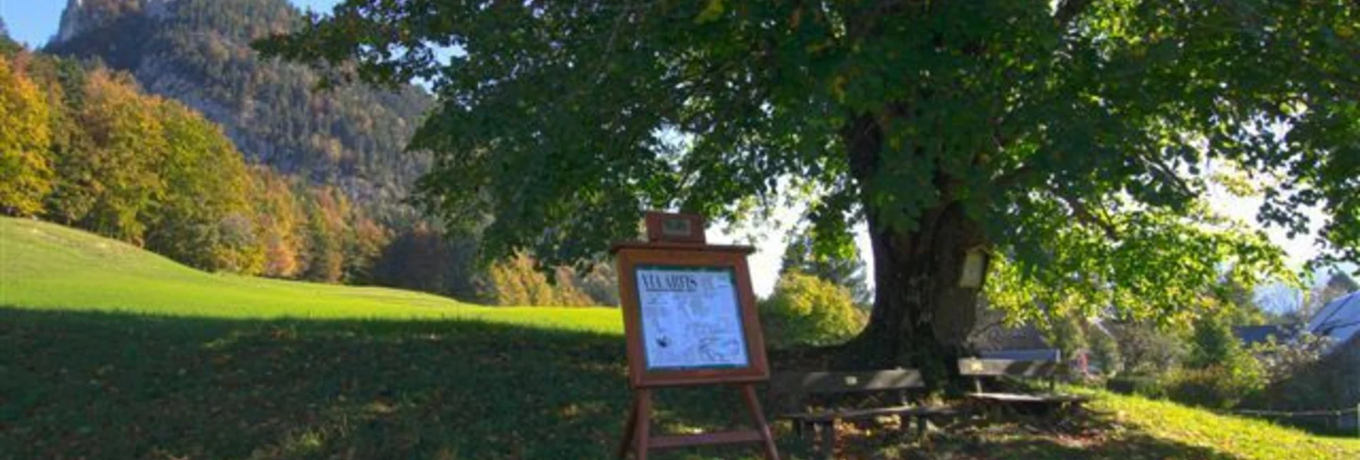 Wanderung Via Artis Bad Aussee - Touren-Impression #1 | © Ausseerland