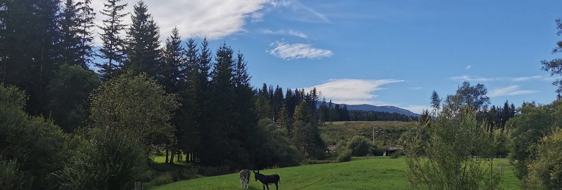 Hiking route Obersdorf circular route - Touren-Impression #1 | © Ausseerland