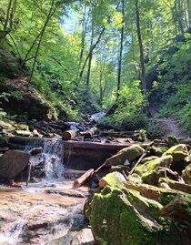 kleiner Wasserfall Klamm | © TVB Südsteiermark/Julia Jammernegg | Julia Jammernegg | © TVB Südsteiermark/Julia Jammernegg