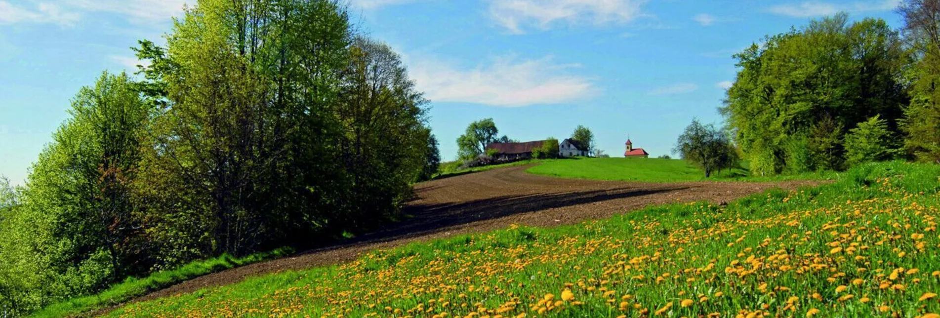 Bike Riding Hills tour RA 27 (Hügel - Tour RA 27) - Touren-Impression #1 | © TV Thermen- & Vulkanland