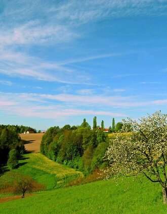 Magnificent view over the countryside along the weitersfeld round | Lisa Schuster | © Erlebnisregion Thermen- & Vulkanland
