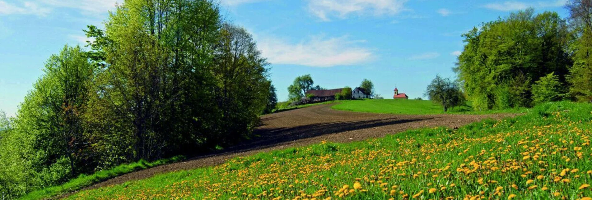 Bike Riding Spielfeld round (Spielfeld Runde) - Touren-Impression #1 | © Erlebnisregion Thermen- & Vulkanland