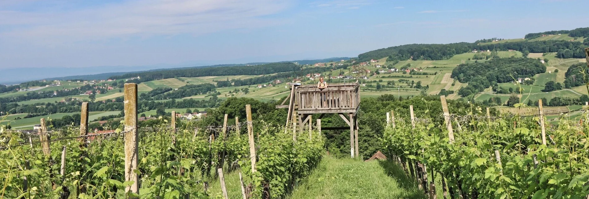 Wanderung TAU - Weg der Riede - Touren-Impression #1 | © Weges OG