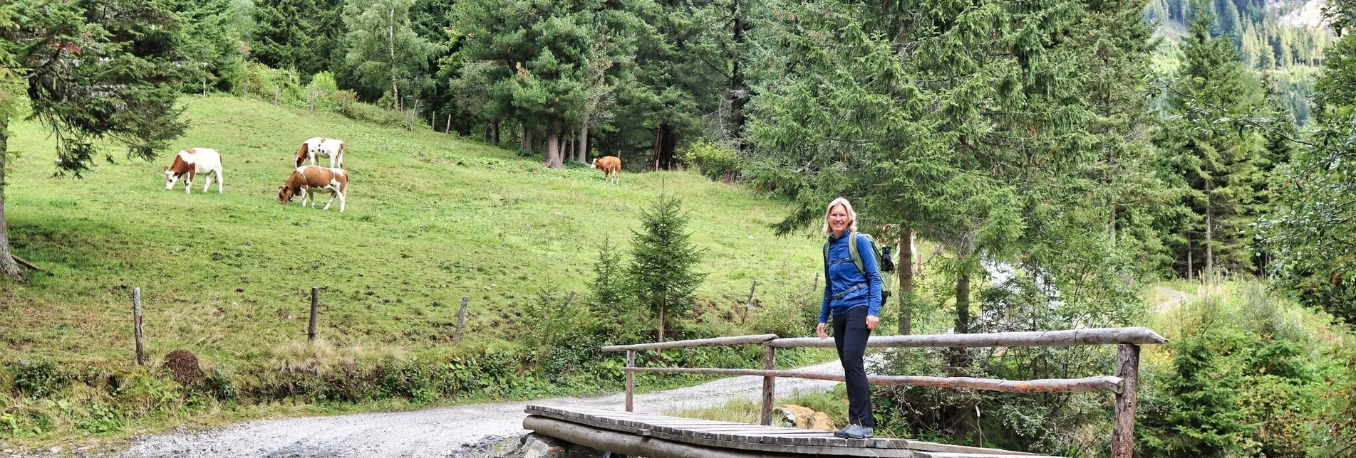 Wanderung 3 Gipfel rund um die Wildalm von der Goldwaschanlage - Touren-Impression #1 | © Weges OG