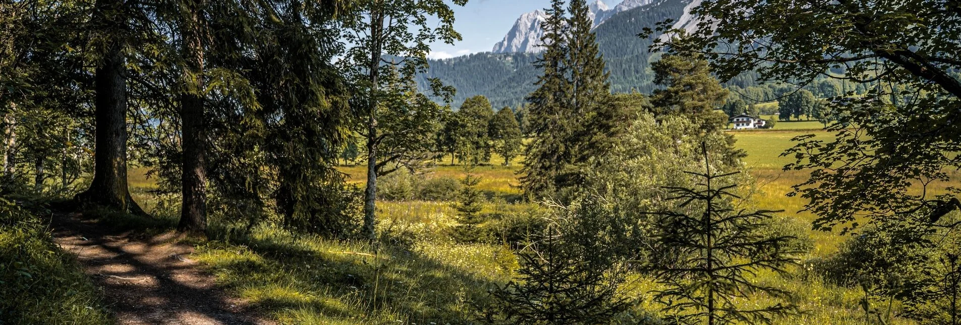 Hiking route Kulmberg Loop Trail - Touren-Impression #1 | © Erlebnisregion Schladming-Dachstein