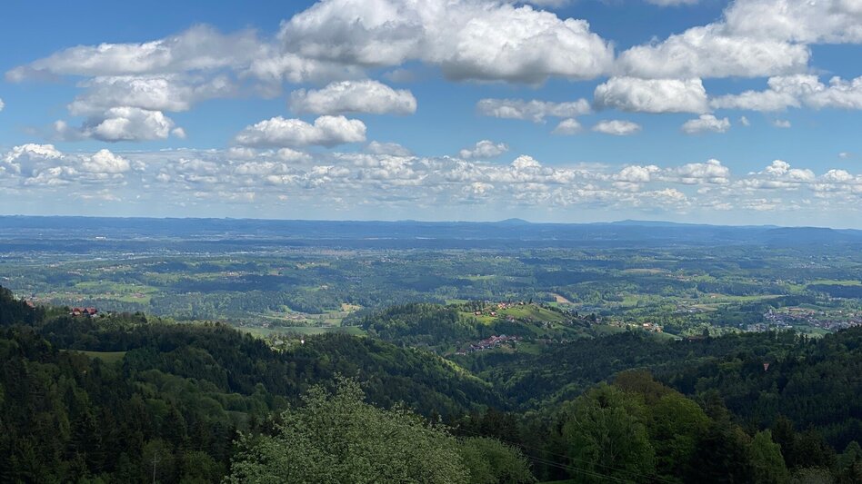 Wies - Impression #2.6 | © TVB Südsteiermark-Schilcherland Steiermark/Stefanie Schmid
