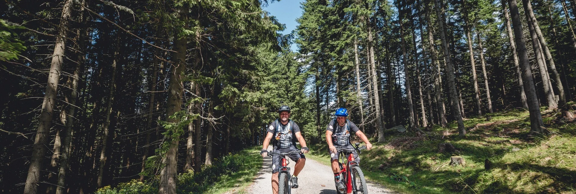 Mountainbike Mountainbikestrecke Malleistenalm - Touren-Impression #1 | © Tourismusverband Hochsteiermark