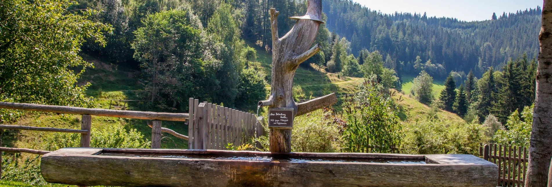 Wanderung Romantischer Bründlweg - Touren-Impression #1 | © Verein romantischer Bründlweg 