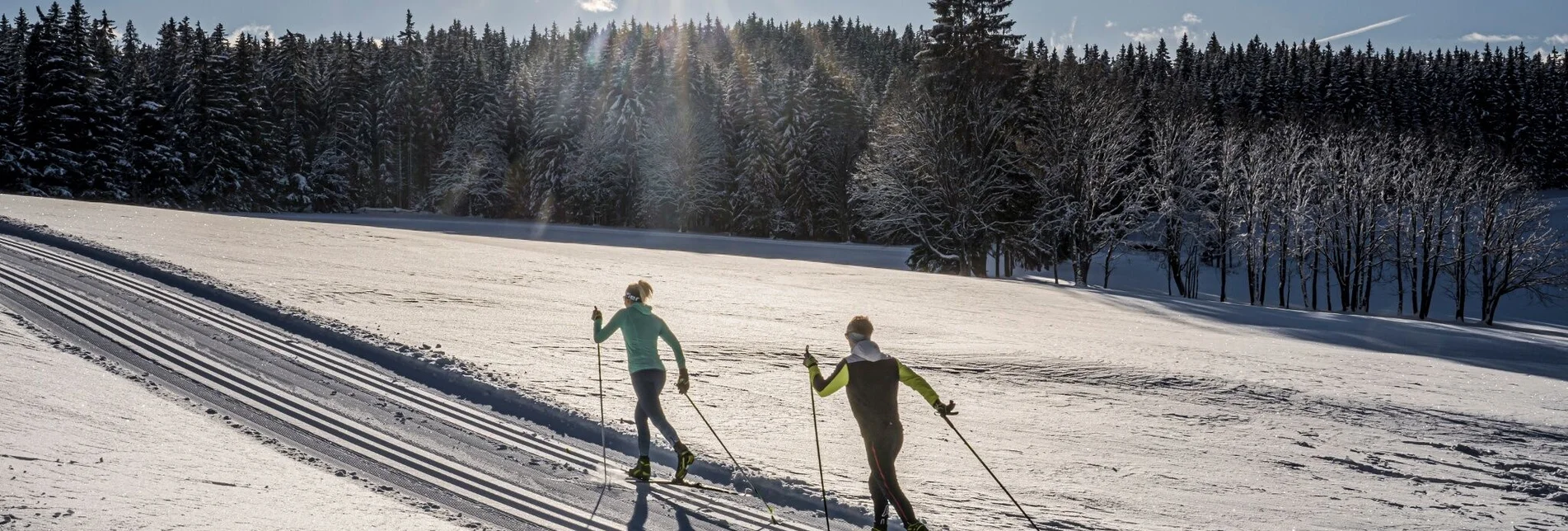 Ski nordic skating Kulmberg Forest Trail - Touren-Impression #1 | © Erlebnisregion Schladming-Dachstein