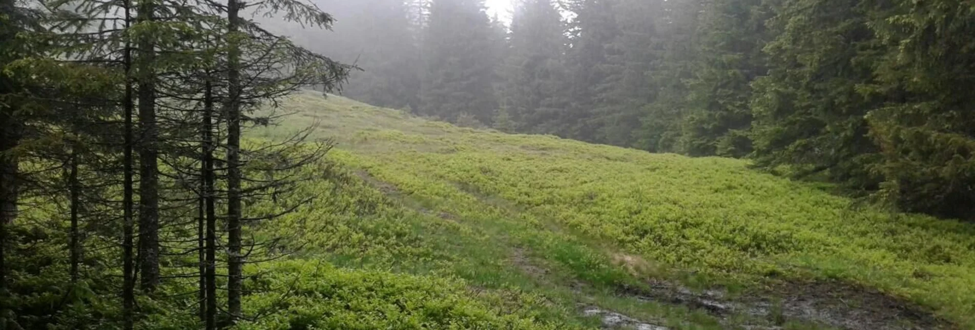 Wanderung Großofenrunde - Touren-Impression #1 | © Community