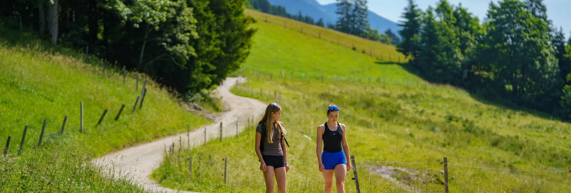 Hiking route Rittisberg Loop - Touren-Impression #1 | © Christine Höflehner