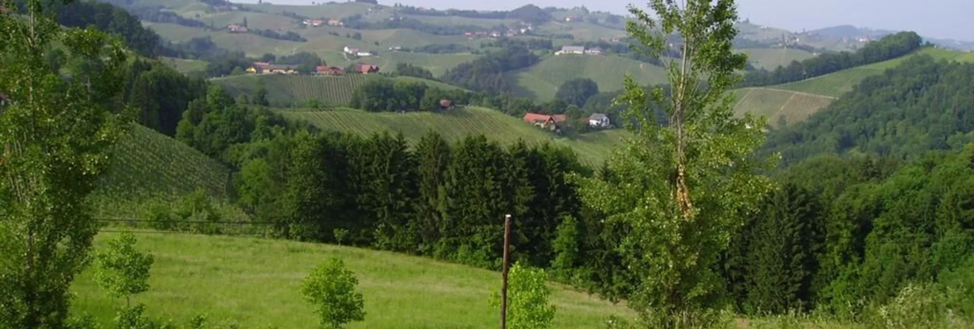 Wanderung Glanzer Hoftour 1 - Touren-Impression #1 | © Erlebnisregion Südsteiermark