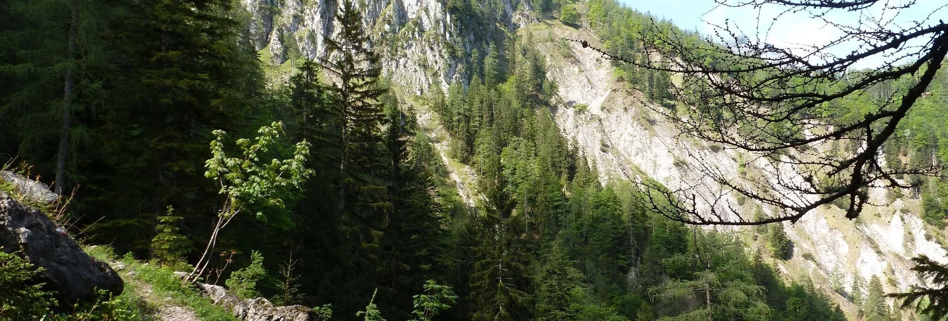 Mountain Hike Hinterwildalpen - Eisenerz - Touren-Impression #1 | © Tourismusverband Wildalpen