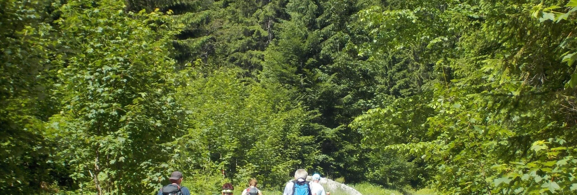 Mountain Hike Goss Hinterwildalpen - Touren-Impression #1 | © Tourismusverband Wildalpen