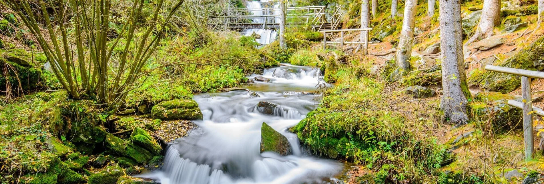 Regional hiking trail Graggerschlucht - Touren-Impression #1 | © Tourismusverband Murau