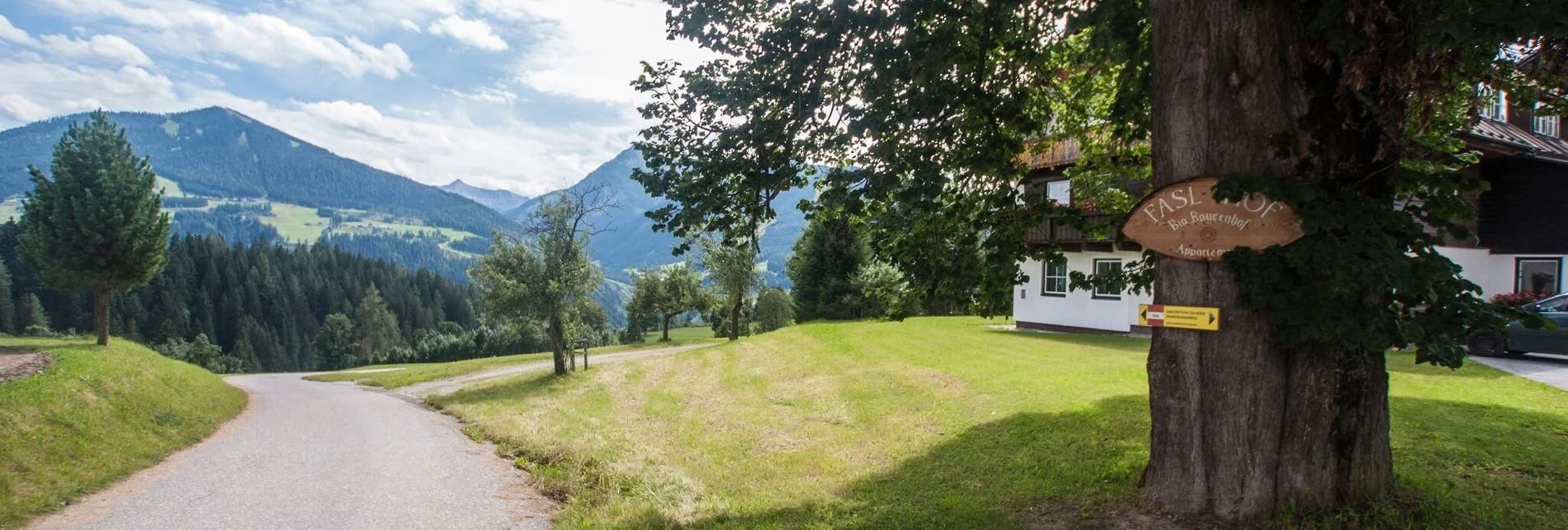 Wanderung Vorberger Spazierrundweg - Touren-Impression #1 | © Gerhard Pilz