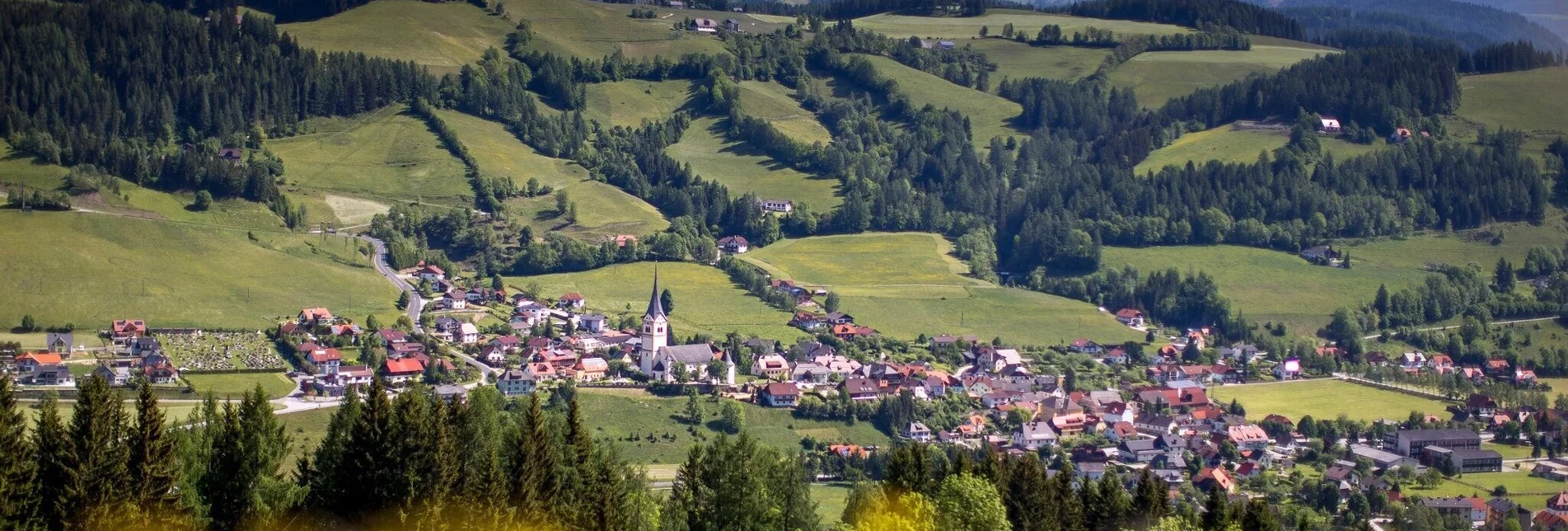 Wanderung Kammersberger Runde mit Erlebniswanderweg "Tierisch Wild" - Touren-Impression #1 | © Tourismusverband Murau