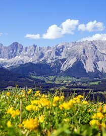 Blick auf den Dachstein | © Steiermark Tourismus/photo-austria.at | photo-austria.at | © Steiermark Tourismus/photo-austria.at