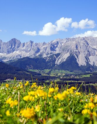 Blick auf den Dachstein | photo-austria.at | © Steiermark Tourismus/photo-austria.at