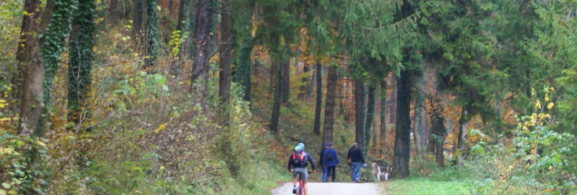 Mountainbike Vier-Tausender-MTB-Runde - Touren-Impression #1 | © Region Graz